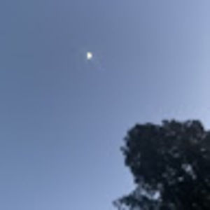 Meet your Posher, Sophia